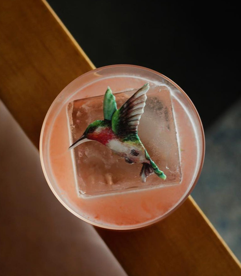 Hummingbird-Drink-Cropped